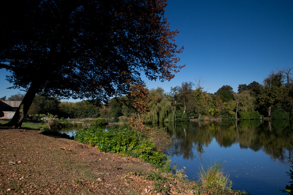 Julian Austin Photography